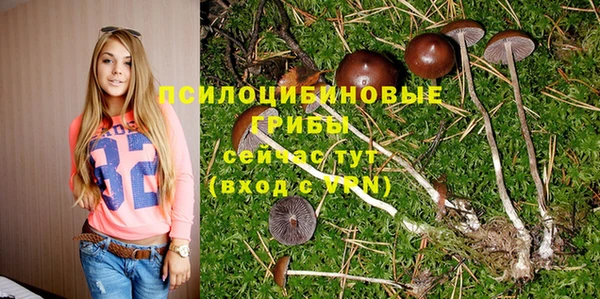 стафф Лихославль