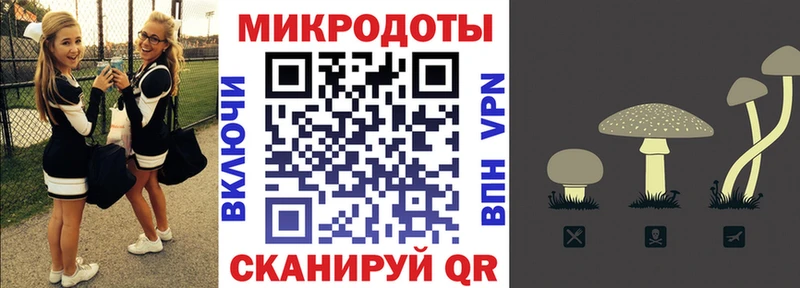 Купить Данков Галлюциногенные грибы прущие грибы